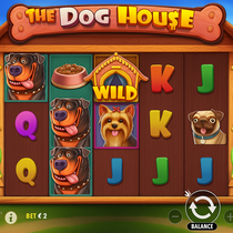 Lucky Jungle - The Dog House Slot Game